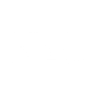 Diesel generator