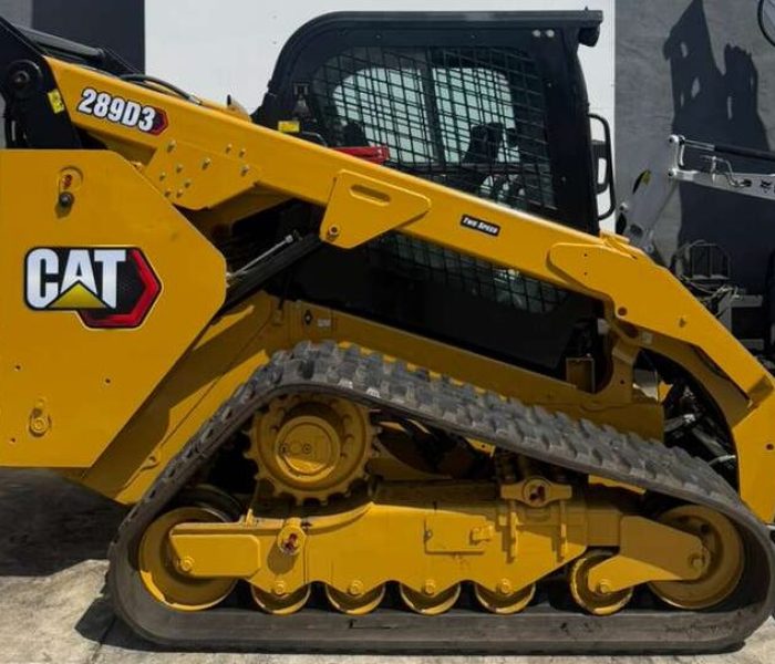 2020-Caterpillar-289D3-320113