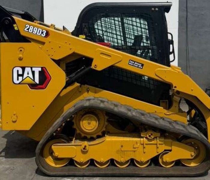 2020 Caterpillar 289D3 -320133