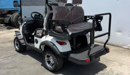 2026 SDGrand SDLGC80 Electric Golf Cart-1239