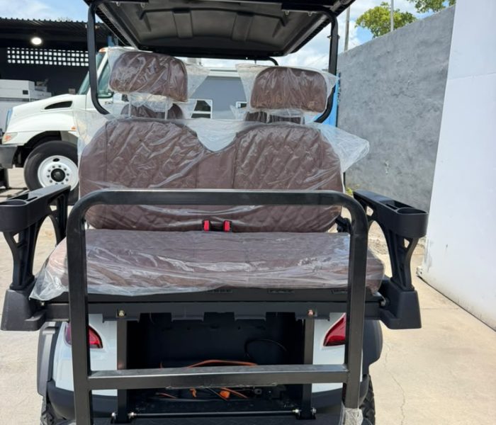 2026 SDGrand SDLGC80 Electric Golf Cart-1239