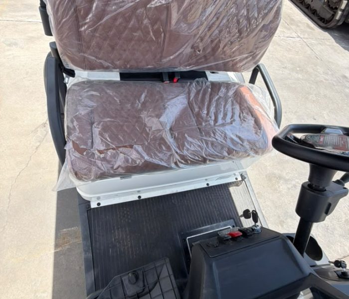 2026 SDGrand SDLGC80 Electric Golf Cart-1239