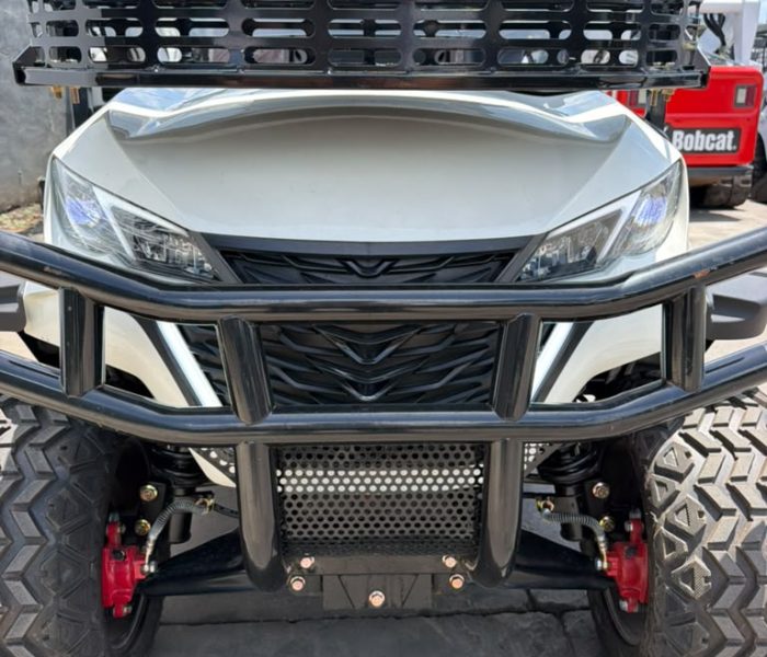 2026 SDGrand SDLGC80 Electric Golf Cart-1239